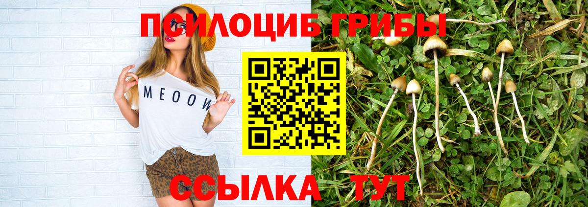 Вышний Волочёк  Галлюциногенные грибы прущие грибы  Вход с VPN 